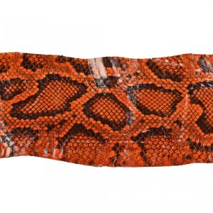 Genuine Elaphe Snake Skin - Exotic Leather